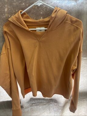 Everyday Cropped Hoodie in Burnt Orange